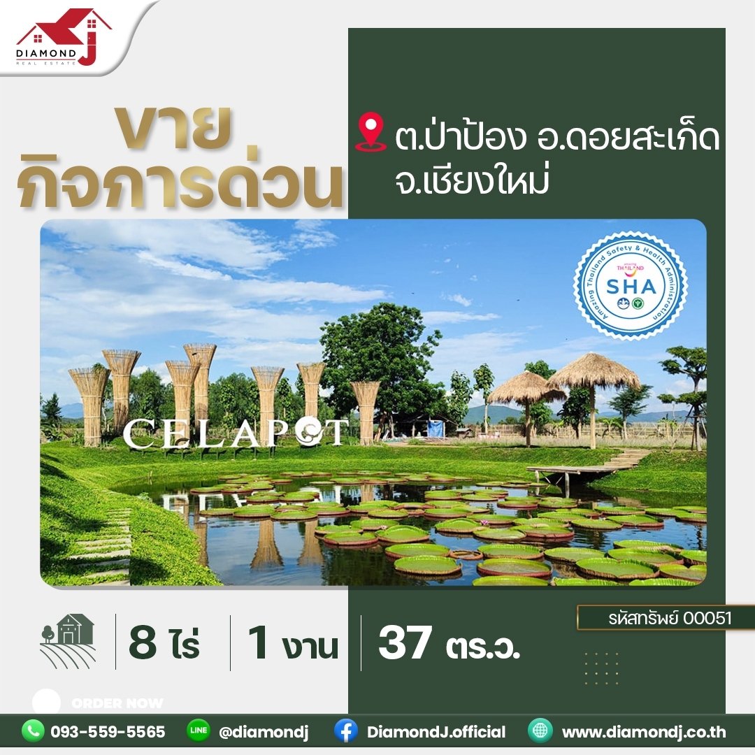 ขายกิจการด่วน!! ภายใต้แบรนด์ Celapot คาเฟ่ x แกลอรี่ xโรงงานผลิตเครื่องปั้นดินเผาศิลาดล