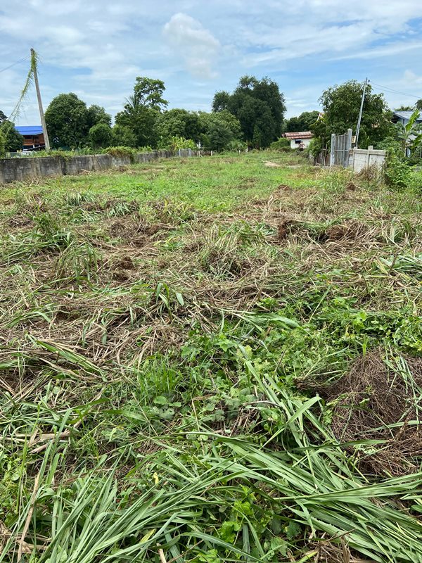 ขาย-เช่าที่ดิน ตำบลหลักฟ้า อำเภอไชโย จังหวัดอ่างทอง ขนาด 3 งาน มีทางเข้าออก 2 ทาง อยู่ในเขตชุมชน โทร 091-7803465