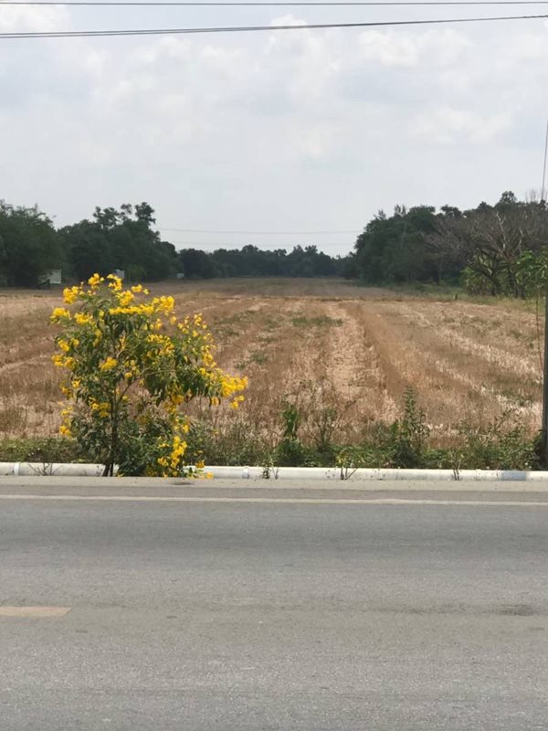 ขายที่ดิน 16ไร่ 2งาน 27ตร.ว. แขวงคลองสิบสอง เขตหนองจอก กรุงเทพ ติดถนนประชาสำราญ ใกล้กับตลาดลำไทรคลอง 12