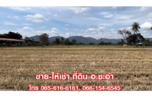 ขาย,ที่ดิน,ขาย ที่ดินเปล่า ชะอำ เพชรบุรี 3 ไร่ ที่สวย ใกล้หัวหิน,ขาย ที่ดินเปล่า ชะอำ เพชรบุรี 3 ไร่ ที่สวย ใกล้หัวหิน,มือสอง,ซอยบ่อแขม,บ่อแขม ชะอำ,ที่ดินเปล่า