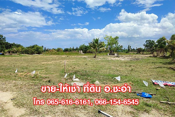 ขาย ที่สวย 3 ไร่ ที่ดินเปล่า ในชะอำ หัวหิน เพชรบุรี ทำเลดี