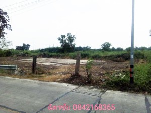 ขาย ที่ดิน เหมาะจัดสรรแบ่งขาย, เหมาะทำหมู่บ้านจัดสรร ขายถูก ที่ดินธัญบุรีคลอง6,หรือปทุมธานี โครงการเชิงพาณิชย์