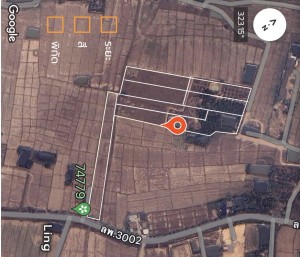 ที่ดิน ขาย ตำบลป่าสัก ใกล้แหล่งชุมชน-ตลาด-ห้าง-โรงพยาบาล ขายที่ดินอำเภอเมืองลำพูนราคาถูก ติดถนนบ้านบูชา-ป่าสัก เจ้าของขายเอง