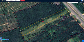 ขาย ที่ดิน ที่ดินพัทลุงราคาถูก ที่ดินป่าบอนถูกกว่าใกล้เคียง พร้อมไฟฟ้าน้ำประปา อสังหาพัทลุงราคาคุ้มสุด ติดถนนเพชรเกษม