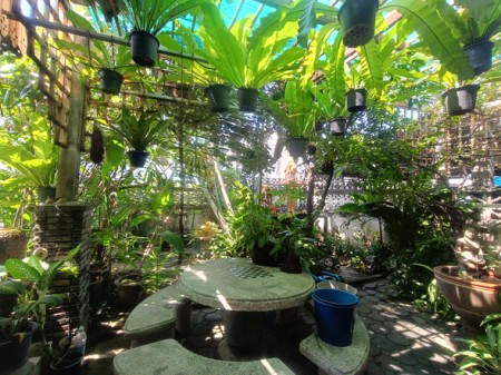 บ้าน ขาย บ้านมือสองลาดพร้าวโชคชัย4 ใกล้โรงพยาบาลเปาโลโชคชัย4 เกษตรนวมินทร์–เอกมัย–รามอินทรา เลียบด่วน สะดวกเดินทางหลายทาง