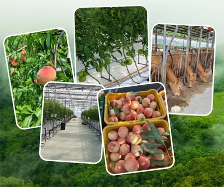 ประกาศ บริการ งานสวนประเทศออสเตรเลีย งานประเทศเกาหลีใต้ รับจัดหางาน งานประเทศอิสราเอล ไม่หลอกลวงทำงานต่างประเทศถูกกฎหมาย